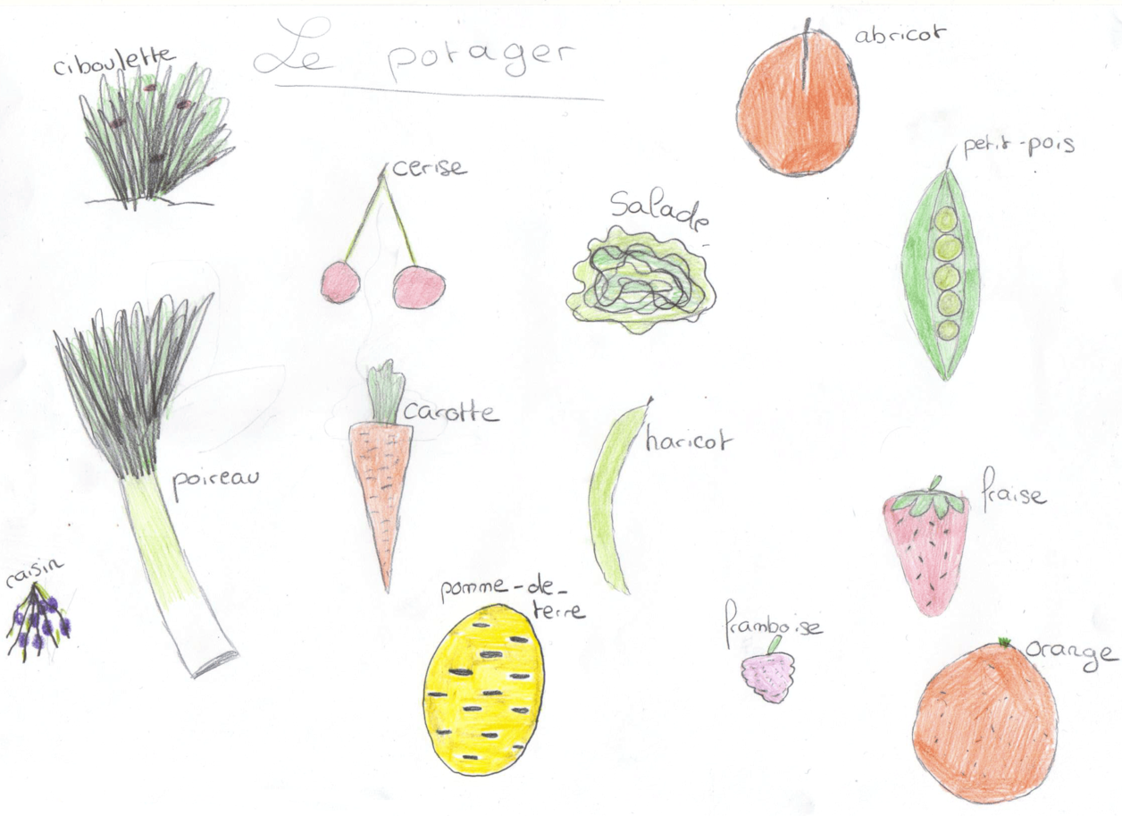 Fruits légumes OKpng