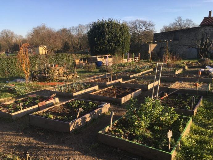 IMG_3369-1024x768jpg